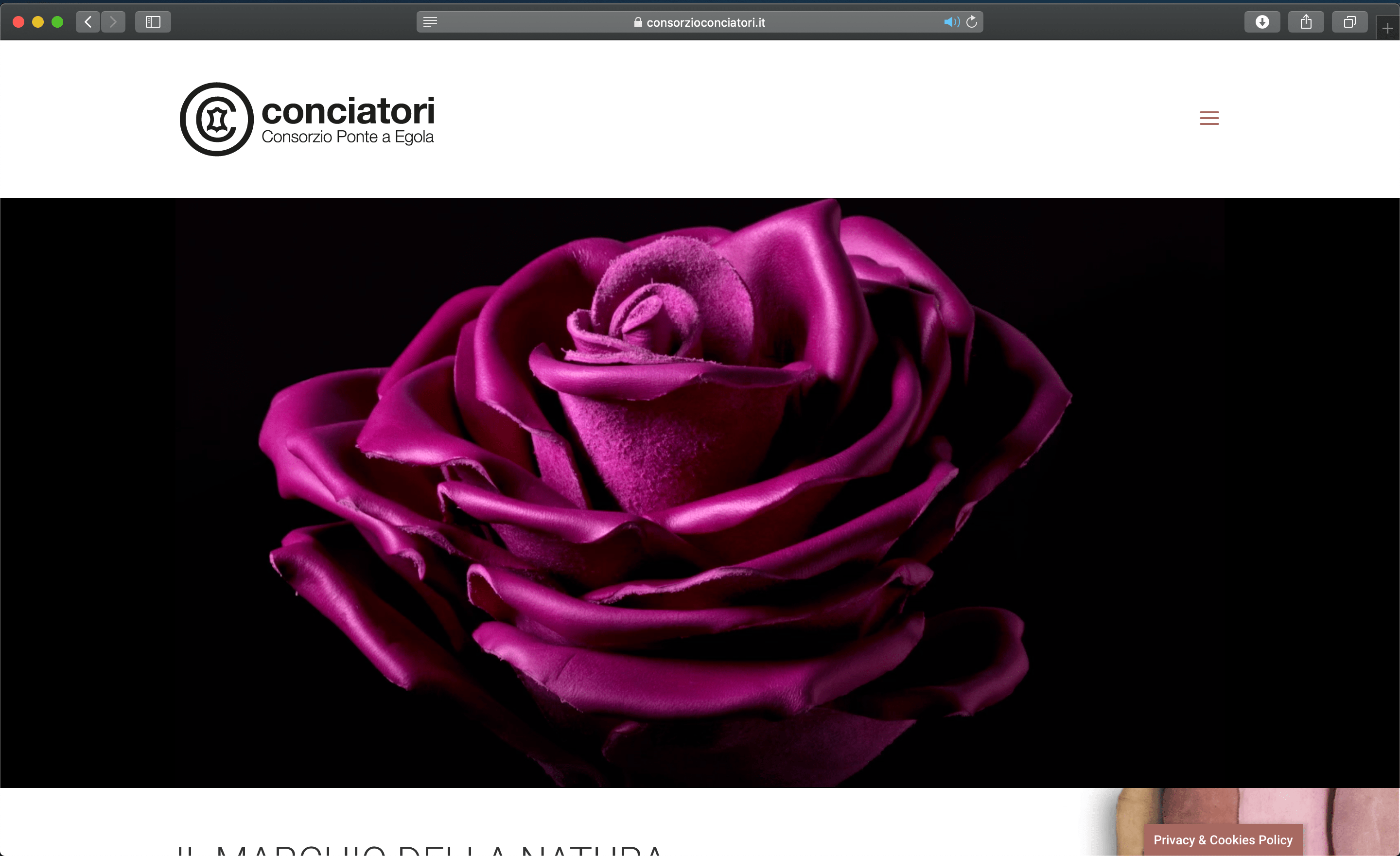 Schermata sito conciatori